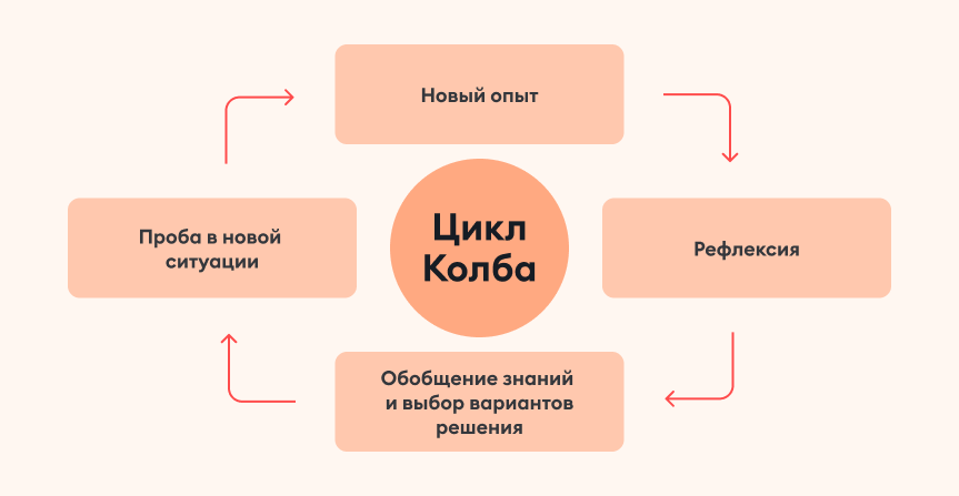 Цикл обучения по Д.Колбу Цикл обучения по Д.Колбу