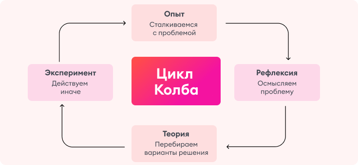 Этапы цикла Колба
